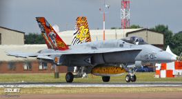 FA-18 Espagnol 0008  LERX NET.jpg